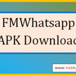 fmwhatsapp apk download